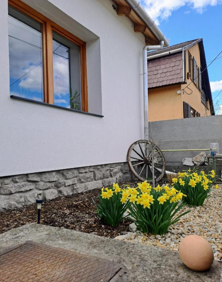 No°21 Apartman Szilvásvárad Dış mekan fotoğraf