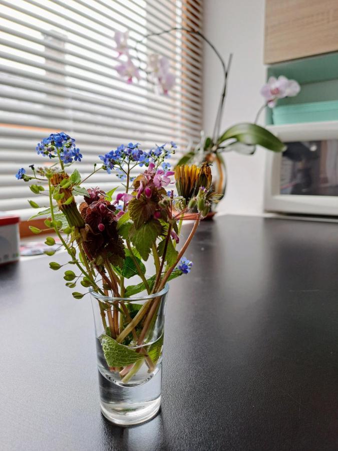 No°21 Apartman Szilvásvárad Dış mekan fotoğraf